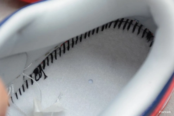 CZ2667-400 Low (2020) Samba Nike Dunk 0125